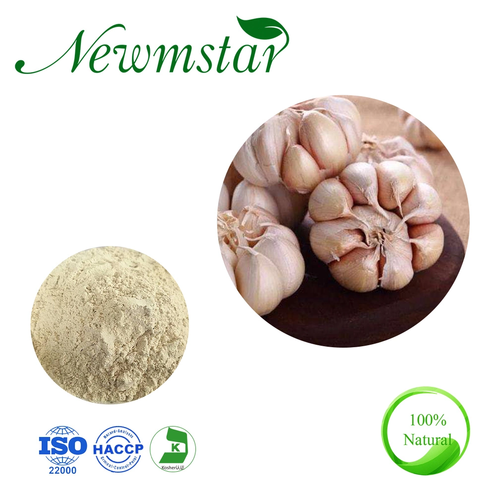 Factory Supply 100% Natural Dehydrated Dry Garlic Powder