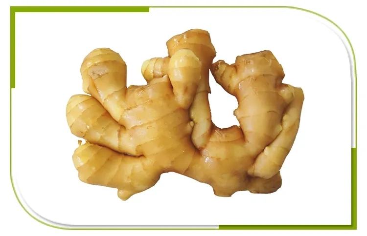 100% Natural High Quality Pure Dry Ginger Powder Organic Ground Ginger Organic Fresh Ginger for Export From China