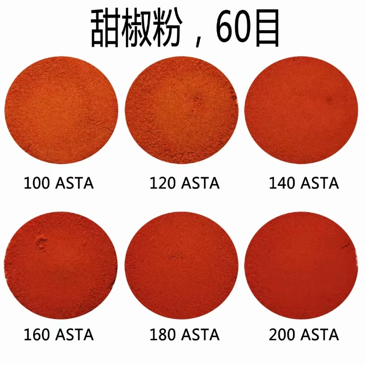 China Paprika Powder 60 Mesh Chili Powder 80-220 Asta