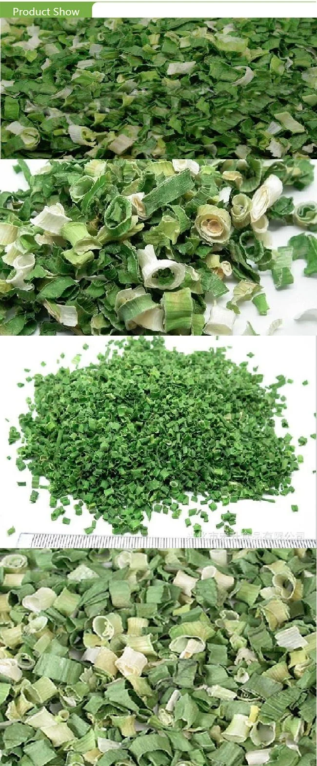 Dehydrated Diced Green Onion for Exporting