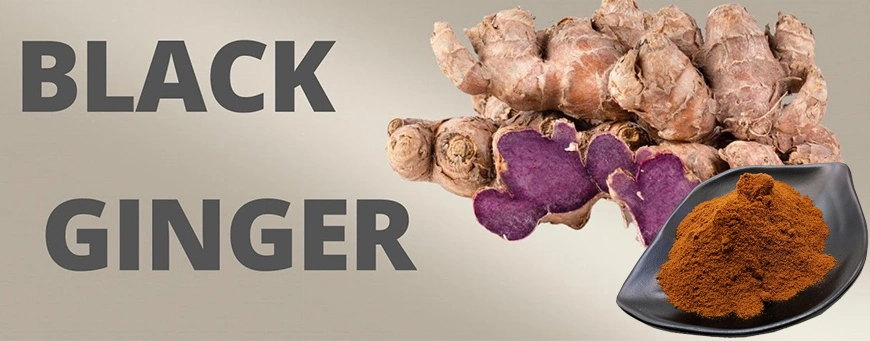 Supply Black Ginger Root Extract Powder 5 7- Dimethoxyflavone 5%