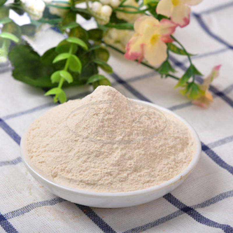 China Exporters Dehydrated Garlic Powder Manufacturers