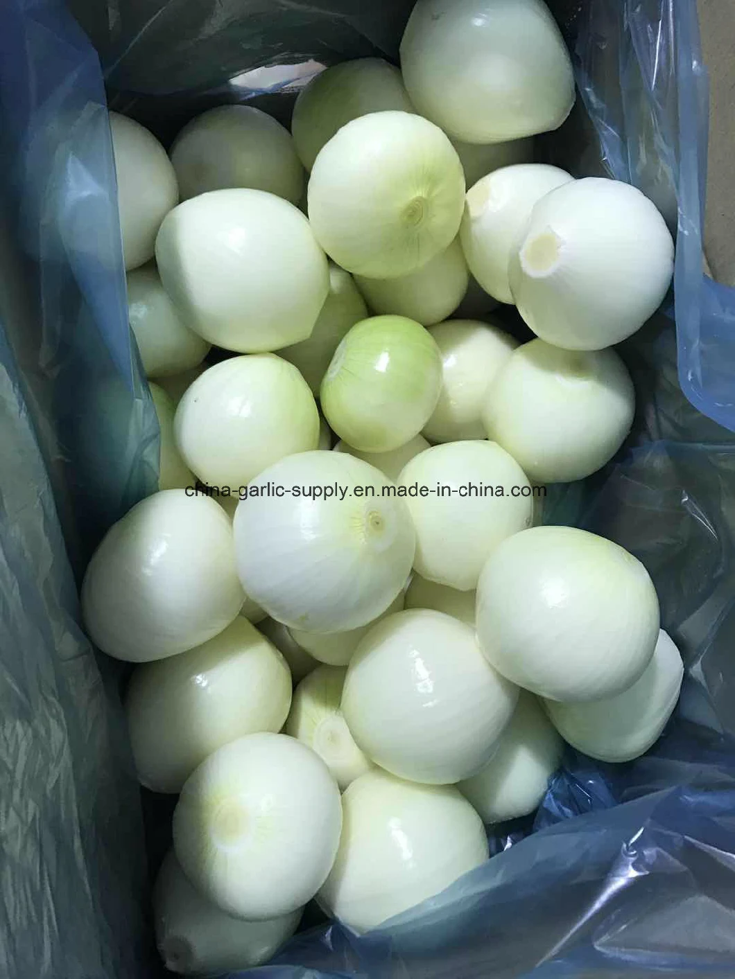 Shandong Wholesale Frozen Diced Onion Frozen Onion Strips Frozen Onion Flakes