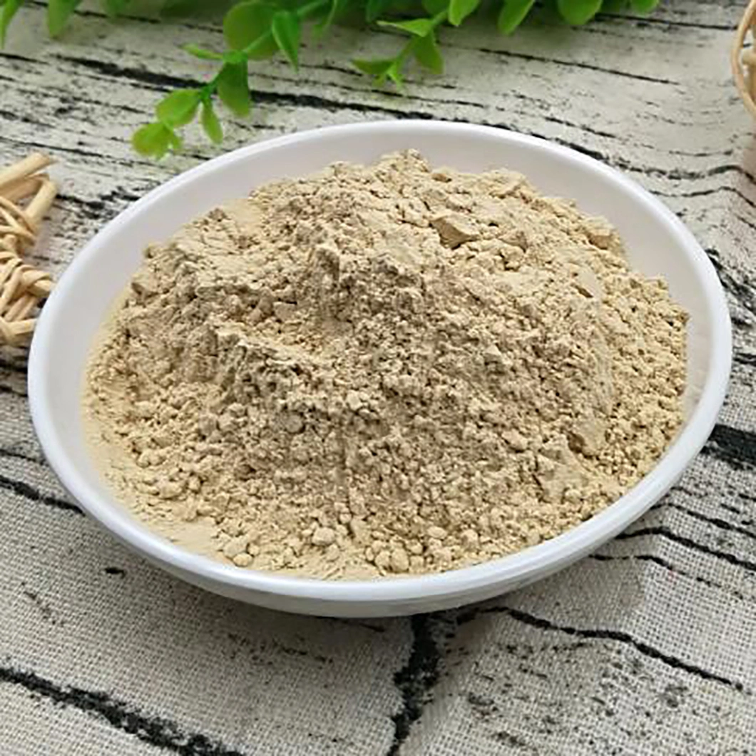 Low Price Normal Edible Barbecue Flavor Garlic Powder