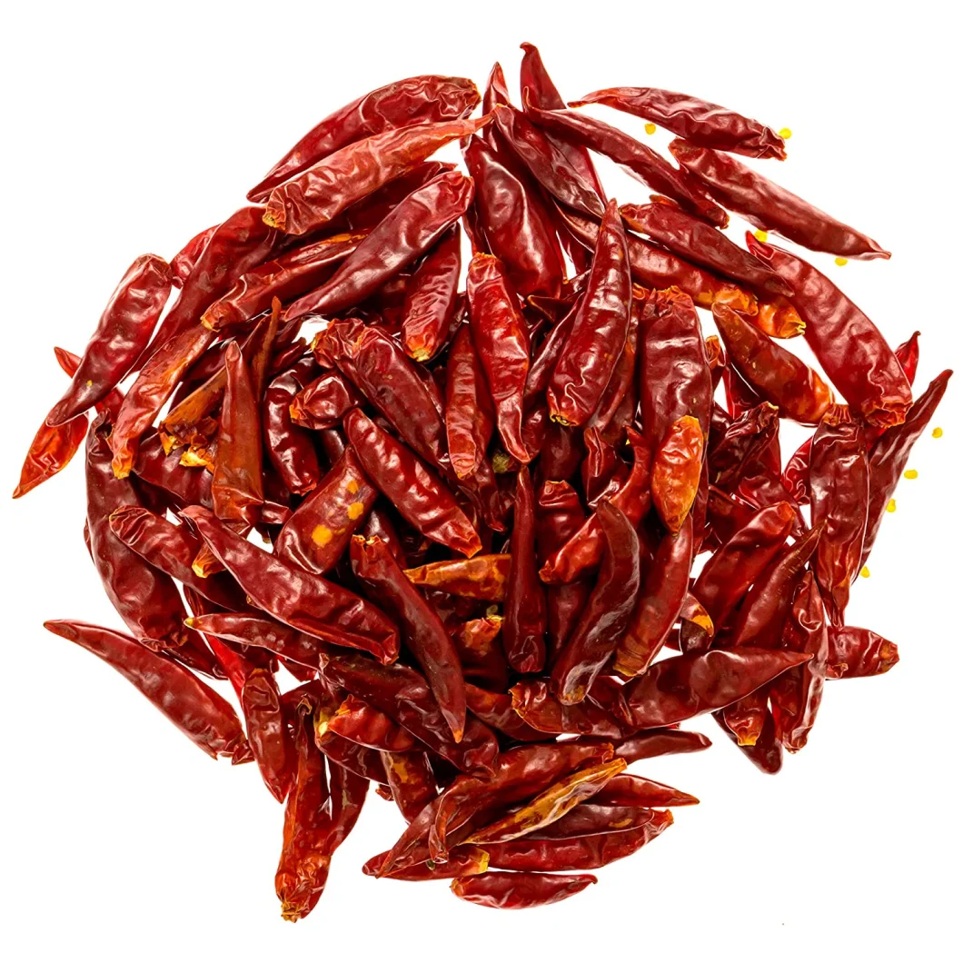 Factory Spice Supplier Wholesale Dried Red Chili Pepper Dried Chilies Dry Red Chilli Pepper