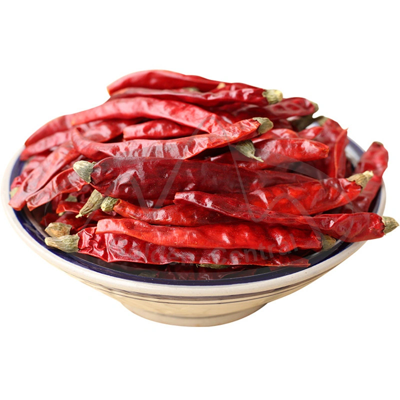 Top Product 100% Pure Dried Chili Best Natural Hot Dry Red Chili Top Quality Dried Red Chili