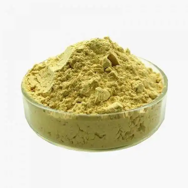 Factory Supply 5% Gingerols Ginger Root Extract Powder