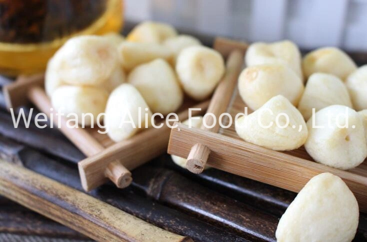 Vacuum Fried Foods Vf Garlic