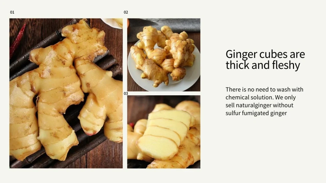 High Quality Air Dried Ginger Fresh Vegetable Fresh Ginger Factory Supplier From China