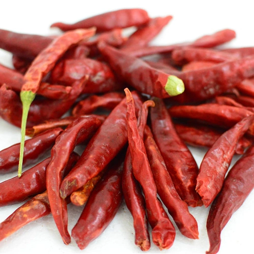 Hot Chili Pepper Cayennepfeffer im Großhandel zu günstigen Preisen