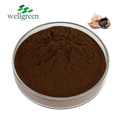 Pflanzen OEM Factory Direct Export Niedrigpreisiges Polyphenol-Schwarz-Knoblauch-Extrakt-Pulver