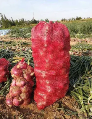 2021 Dehydrierte Zwiebel der neuen Ernte mit internationaler Zertifizierung