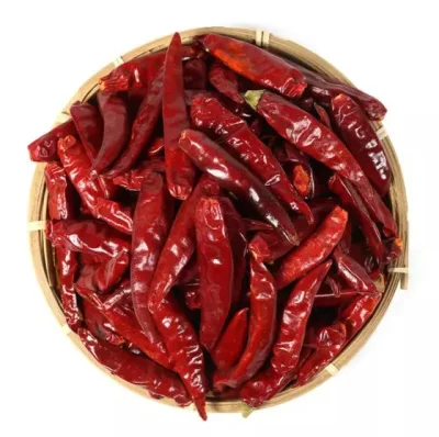 Chili Verschiedene Einzelgewürze von guter Qualität, getrockneter roter Chili