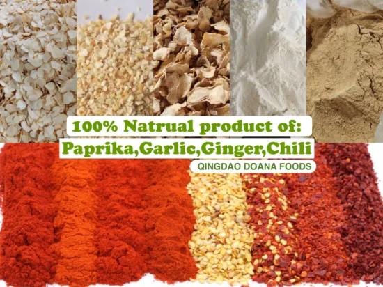 Chinesisches Hot Sale Paprikapulver, getrockneter roter Chili