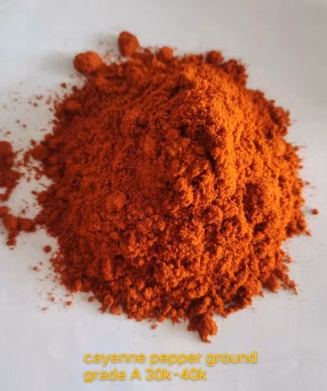 Trockener Paprika-Gewürzverteiler, süßes Red Hot Chili Capsicum-Pulver
